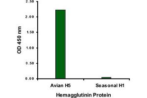ELISA analysis of Avian Influenza Hemagglutinin 2 protein with 1 ug/mL Avian Influenza Hemagglutinin 2 polyclonal antibody . (Hemagglutinin antibody  (N-Term))