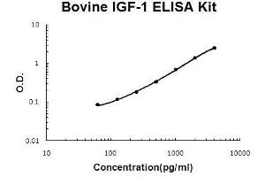 Bovine IGF-1 PicoKine ELISA Kit standard curve (IGF1 ELISA Kit)