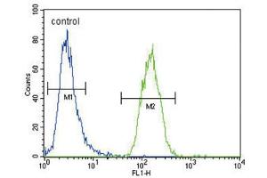 Flow Cytometry (FACS) image for anti-Xanthine Dehydrogenase (XDH) antibody (ABIN3004109) (XDH antibody)