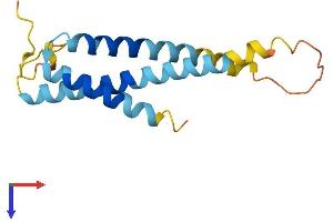 AlphaFold protein structure predicition of Human Recombinant SLC31A2 Protein, UniprotID O15432