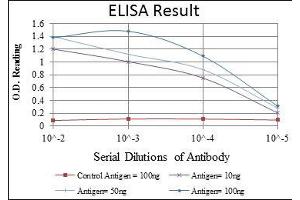 Red: Control Antigen (100 ng), Purple: Antigen (10 ng), Green: Antigen (50 ng), Blue: Antigen (100 ng), (MAP2K6 antibody)