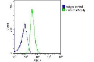 Overlay histogram showing U-2OS cells stained with (ABIN6242973 and ABIN6578633) (green line). (ITIH4 antibody  (AA 784-816))