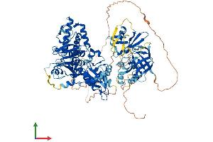 AlphaFold protein structure predicition of Human Recombinant MOCOS Protein, UniprotID Q96EN8