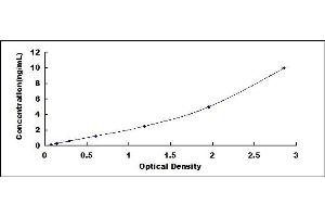 Typical standard curve (WNT11 ELISA Kit)