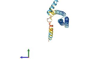 Protein Structure (PS) image for Charged Multivesicular Body Protein 1A (CHMP1A) (AA 1-196) protein (His tag) (ABIN7553370)