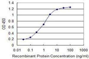 Detection limit for recombinant GST tagged ADRM1 is 0. (ADRM1 antibody  (AA 18-407))