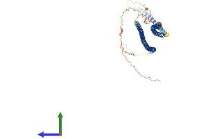 AlphaFold protein structure predicition of Human Recombinant KRT37 Protein, UniprotID O76014 (Keratin 37 Protein (KRT37) (AA 1-449) (His tag))