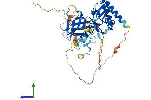 AlphaFold protein structure predicition of Human Recombinant SHARPIN Protein, UniprotID Q9H0F6 (SHARPIN Protein (AA 1-387) (His tag))