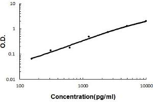 Sandwich ELISA - Recombinant human Beta 2 Microglobulin/B2M protein standard curve. (beta-2 Microglobulin antibody  (AA 22-119))