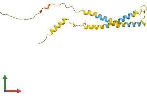 AlphaFold protein structure predicition of Mouse Recombinant Ociad2 Protein, UniprotID Q9D8W7 (OCIAD2 Protein (AA 1-154) (His tag))