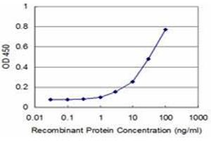 Detection limit for recombinant GST tagged CDC14A is approximately 3ng/ml as a capture antibody. (CDC14A antibody  (AA 431-530))