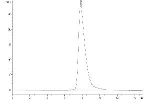 The purity of Human Fc gamma RIIB is greater than 95 % as determined by SEC-HPLC. (FCGR2B Protein (AA 46-217) (His-Avi Tag))