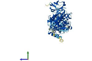 Protein Structure (PS) image for Transglutaminase 7 (TGM7) (AA 1-710) protein (His tag) (ABIN7544280)