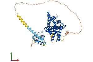 AlphaFold protein structure predicition of Mouse Recombinant Rorb Protein, UniprotID Q8R1B8 (RORB Protein (AA 1-470) (His tag))