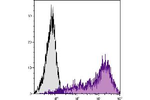 Sca-1/Ly-6A/E antibody