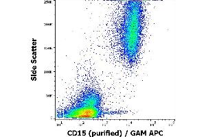 Flow cytometry surface staining pattern of human peripheral blood stained using anti-human CD15 (MEM-158) purified antibody (concentration in sample 0,3 μg/mL) GAM APC.