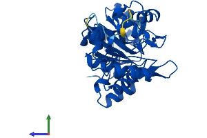 Protein Structure (PS) image for Pyridoxal (Pyridoxine, Vitamin B6) Phosphatase (PDXP) (AA 1-296) protein (His tag) (ABIN7550786)