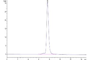 The purity of Human KIR2DL3 is greater than 95 % as determined by SEC-HPLC. (KIR2DL3 Protein (AA 22-245) (His-Avi Tag))
