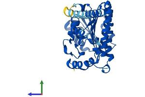 Protein Structure (PS) image for Hydroxysteroid (17-Beta) Dehydrogenase 3 (HSD17B3) (AA 1-310) protein (His tag) (ABIN7547086)