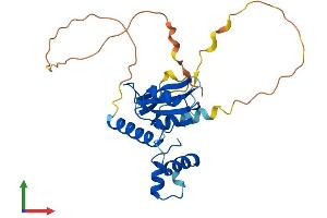 AlphaFold protein structure predicition of Human Recombinant CISH Protein, UniprotID Q9NSE2 (CISH Protein (AA 1-258) (His tag))