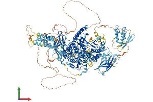Protein Structure (PS) image for Phosphatidylinositol-4-Phosphate 3-Kinase, Catalytic Subunit Type 2 gamma (PIK3C2G) (AA 1-1506) protein (His tag) (ABIN7562514)