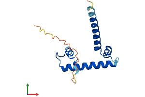 AlphaFold protein structure predicition of Mouse Recombinant Taf13 Protein, UniprotID P61216