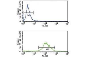 TAT antibody flow cytometry analysis of K562 cells (green) compared to a&nbsp (Tat (AA 279-306) antibody)