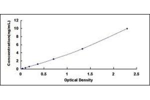 Typical standard curve (SMAD4 ELISA Kit)