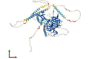 AlphaFold protein structure predicition of Mouse Recombinant Osbpl3 Protein, UniprotID Q9DBS9