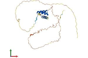 AlphaFold protein structure predicition of Mouse Recombinant Nanog Protein, UniprotID Q80Z64 (Nanog Protein (AA 1-305) (His tag))