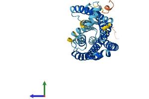 AlphaFold protein structure predicition of Human Recombinant OR2H1 Protein, UniprotID Q9GZK4