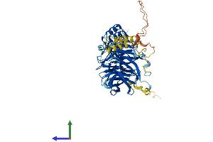 AlphaFold protein structure predicition of Mouse Recombinant Fbxw5 Protein, UniprotID Q9QXW2 (FBXW5 Protein (AA 1-573) (His tag))