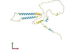 Protein Structure (PS) image for Transmembrane Protein 51 (TMEM51) (AA 1-253) protein (His tag) (ABIN7544540)