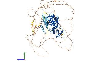 AlphaFold protein structure predicition of Mouse Recombinant Epb41l3 Protein, UniprotID Q9WV92