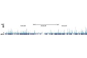 ChIP-seq results of anti-ETO ChIP-seq results of anti-ETO antibody.