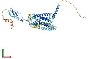 AlphaFold protein structure predicition of Mouse Recombinant Crhr2 Protein, UniprotID Q60748 (CRHR2 Protein (AA 1-411) (His tag))