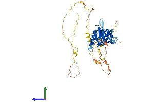 Protein Structure (PS) image for DOK2 (DOK2) (AA 1-412) protein (His tag) (ABIN7547107)