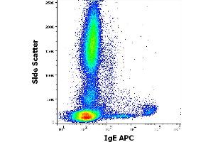 Flow cytometry surface staining pattern of human peripheral whole blood stained using anti-human IgE (4H10) APC antibody (concentration in sample 9 μg/mL). (IgE antibody  (APC))