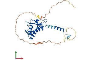 Protein Structure (PS) image for B-Cell Translocation Gene 4 (BTG4) (AA 1-250) protein (His tag) (ABIN7562563)