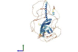 AlphaFold protein structure predicition of Human Recombinant DISC1 Protein, UniprotID Q9NRI5 (DISC1 Protein (AA 1-854) (His tag))