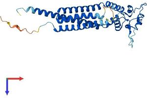 AlphaFold protein structure predicition of Mouse Recombinant Tspan33 Protein, UniprotID Q8R3S2 (TSPAN33 Protein (AA 1-283) (His tag))