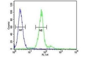 TPSAB1 antibody flow cytometric analysis of 293 cells (green) compared to a negative control cell (blue). (TPSAB1 antibody  (AA 61-87))