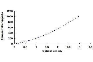 Typical standard curve (IL-18 ELISA Kit)