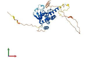AlphaFold protein structure predicition of Human Recombinant TSR3 Protein, UniprotID Q9UJK0 (TSR3 Protein (AA 1-312) (His tag))