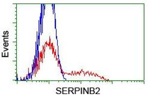 HEK293T cells transfected with either RC203139 overexpress plasmid (Red) or empty vector control plasmid (Blue) were immunostained by anti-SERPINB2 antibody (ABIN2455295), and then analyzed by flow cytometry. (SERPINB2 antibody)