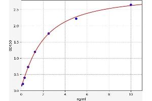 TBXAS1 ELISA Kit