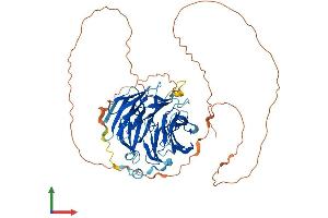 AlphaFold protein structure predicition of Human Recombinant WDR25 Protein, UniprotID Q64LD2