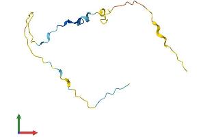 AlphaFold protein structure predicition of Mouse Recombinant Pclaf Protein, UniprotID Q9CQX4 (KIAA0101 Protein (AA 1-110) (His tag))