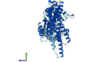 AlphaFold protein structure predicition of Human Recombinant FTCD Protein, UniprotID O95954 (FTCD Protein (AA 1-541) (His tag))