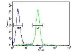 c-Fos antibody flow cytometric analysis of 293 cells (right histogram) compared to a negative control cell (left histogram). (c-FOS antibody  (AA 263-291))